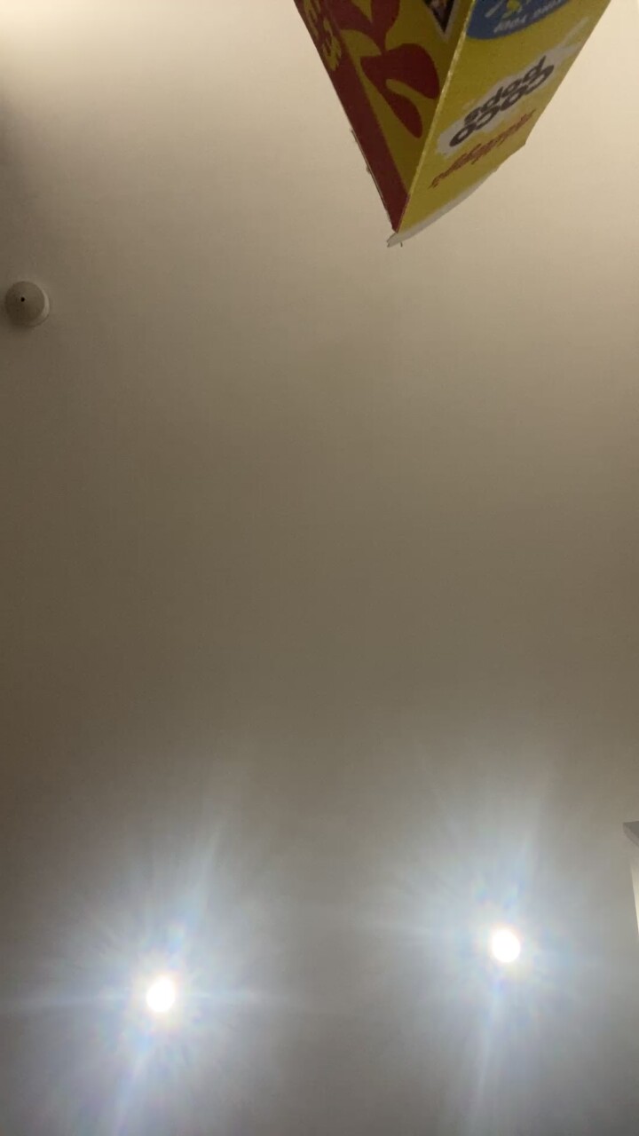 Velvetvandalx